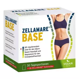 ZELLAMARE Base e tiras de base, 30 peças