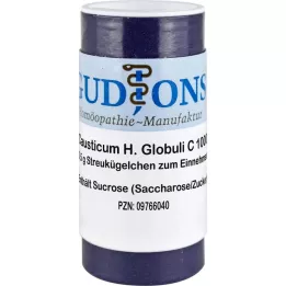 CAUSTICUM HAHNEMANNI C 1000 Gr.6 Glóbulos, 0,5 g