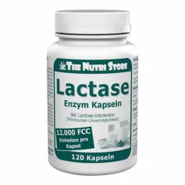 LACTASE 12.000 FCC Cápsulas de enzimas, 120 unidades