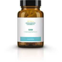SAM S-ADENOSYLMETHIONIN cápsulas, 60 unidades