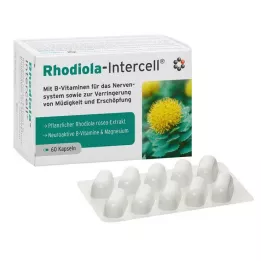 RHODIOLA-INTERCELL cápsulas, 60 unidades