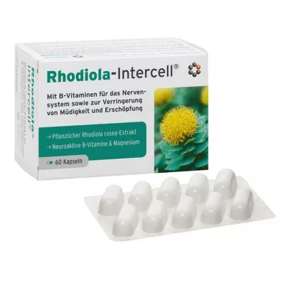 RHODIOLA-INTERCELL cápsulas, 60 unidades