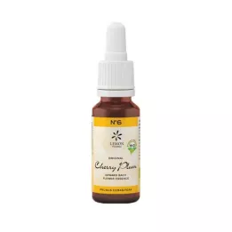 BACHBLÜTEN No.6 Cereja Ameixa Orgânica, 20 ml