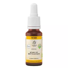 BACHBLÜTEN No.29 Estrela de Belém Orgânico, 20 ml