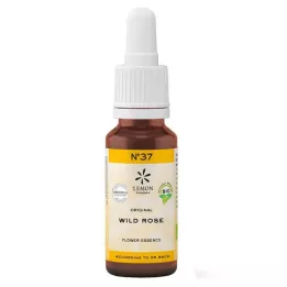 BACHBLÜTEN No.37 Rosa Selvagem Orgânica, 20 ml