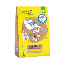 DE Baú do tesouro Dirt Sparrow, divirta-se, 1 unidade