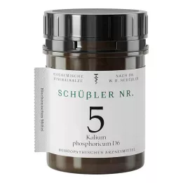 SCHÜSSLER No. 5 Kalium phosphoricum D 6 comprimidos, 400 unidades
