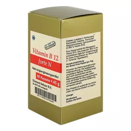 VITAMIN B12 FORTE N cápsulas, 90 unidades