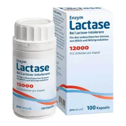Lactase 12.000 cápsulas FCC , 100 peças