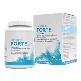 LACTOBACT Cápsulas gastrorresistentes Forte, 120 unidades
