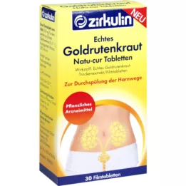 ECHTES GOLDRUTENKRAUT Comprimido de filme Natu-cur 600 mg, 30 unidades
