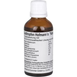 GOLDTROPFEN Königseer Lsg.z.Z.Taken de Hofmann, 50 ml