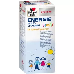 DOPPELHERZ Líquido do sistema familiar Energy, 250 ml