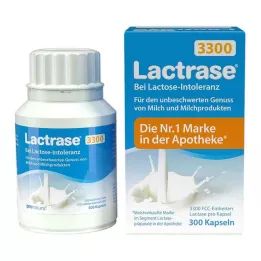 LACTRASE 3.300 FCC cápsulas, 300 peças