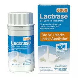 LACTRASE 6.000 FCC Pacote de recarga do dispensador Tbl.Click, 480 unidades