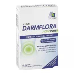 DARMFLORA Aktiv Plus 100 bilhões de bactérias + 7 vitaminas, 40 unidades