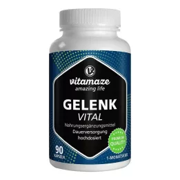 GELENK VITAL cápsulas, 90 unidades