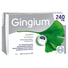 GINGIUM Comprimidos revestidos por película de 240 mg, 120 unidades