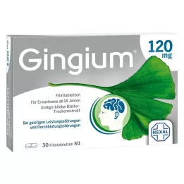 GINGIUM Comprimidos revestidos por película de 120 mg, 30 unidades