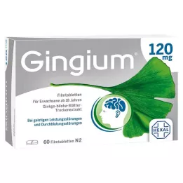 GINGIUM Comprimidos revestidos por película de 120 mg, 60 unidades