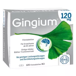 GINGIUM Comprimidos revestidos por película de 120 mg, 120 unidades
