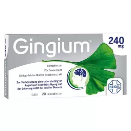 GINGIUM Comprimidos revestidos por película de 240 mg, 20 unidades