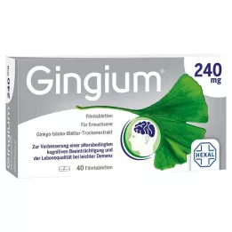 GINGIUM Comprimidos revestidos por película de 240 mg, 40 unidades