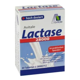 LACTASE 28.000 FCC comprimidos em dispensador, 80 unidades