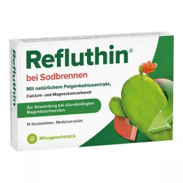 REFLUTHIN para azia comprimidos mastigáveis hortelã, 16 unidades