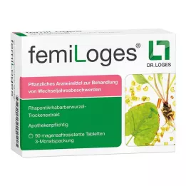 FEMILOGES comprimidos gastrorresistentes, 90 unidades