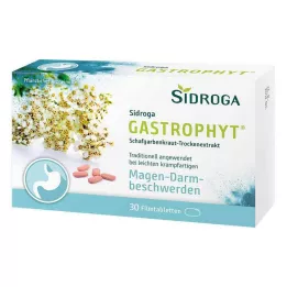 SIDROGA GastroPhyt 250 mg comprimidos revestidos por película, 30 unidades