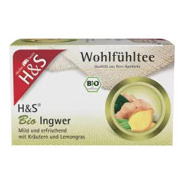H&amp;S Sacos de filtro de gengibre orgânico, 20X2 g