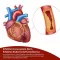 Cápsulas Beh Artery+ (90 peças)