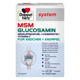 Doppelherz MSM Cápsulas do sistema de glucosamina, 60 unidades