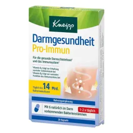 Cápsulas pró-imunes de saúde intestinal Kneipp (20 peças)