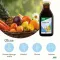 Kindervital com cálcio + D3 tônico Salus, 250 ml