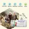 Pastilhas Gastritol®, 10 unidades