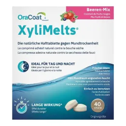 Pastilhas adesivas Xylimelts mistura de frutas silvestres Oracoat, 40 unid
