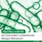Cápsulas Bioticloges subtilis, 30 unid