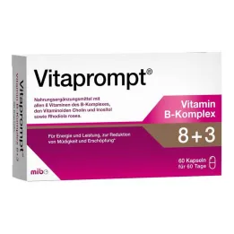 Complexo Vitaprompt Vitamina B 8 + 3 cápsulas, 60 peças